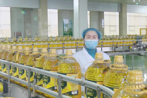 【工匠精神】李民：勇?lián)?dāng)善作為，巾幗何須讓須眉