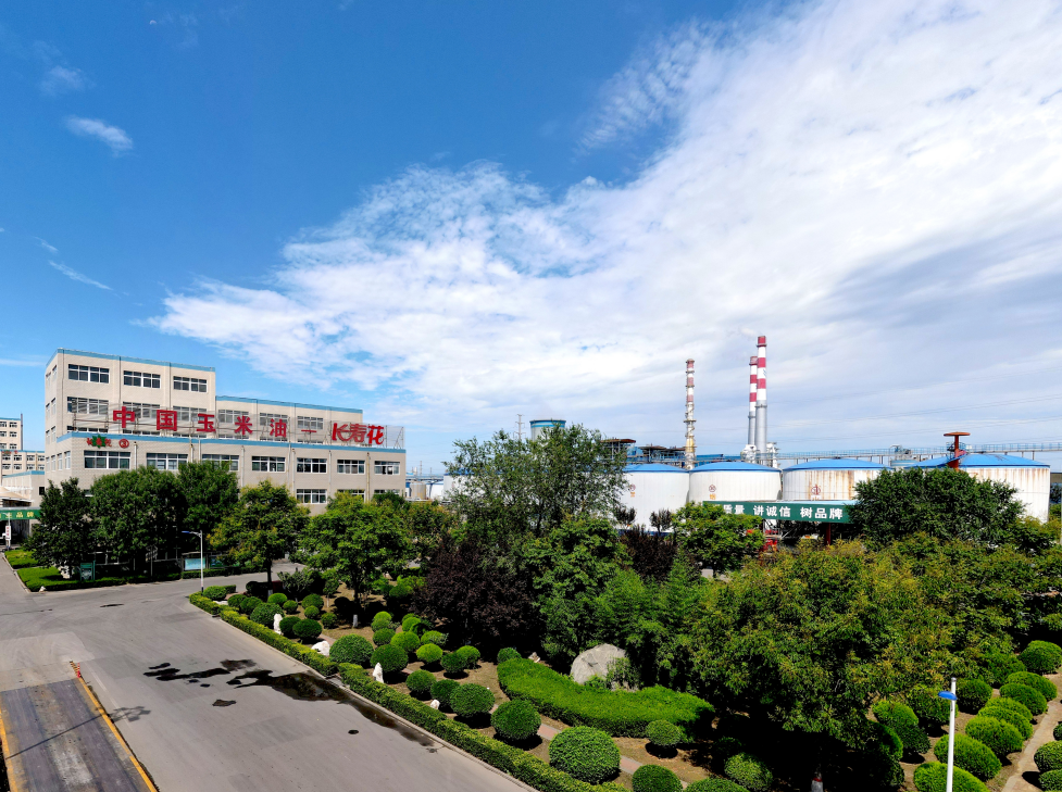 這些屬于長壽花的關(guān)鍵詞標(biāo)簽，你了解嗎