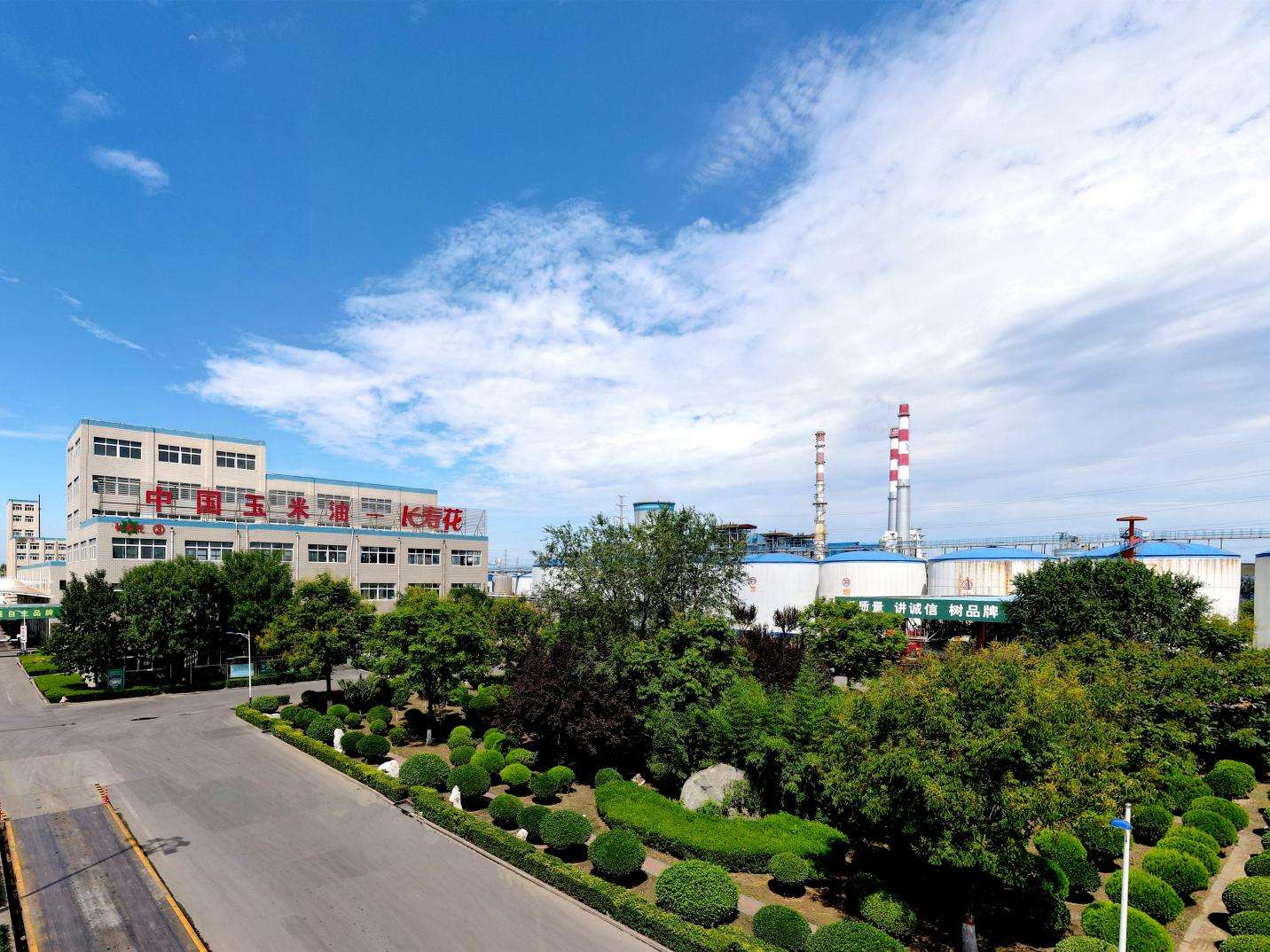 祝賀！長壽花食品榮獲中國農(nóng)業(yè)科學(xué)院杰出科技創(chuàng)新獎