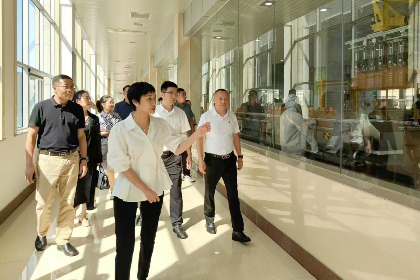 桐廬縣委副書記、縣長(zhǎng)張蕙娜到桐廬玉米產(chǎn)業(yè)公司走訪調(diào)研