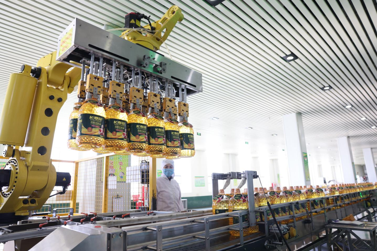 長壽花食品：定向發(fā)力夯實生產(chǎn)管控 創(chuàng)新驅(qū)動激活生產(chǎn)效能