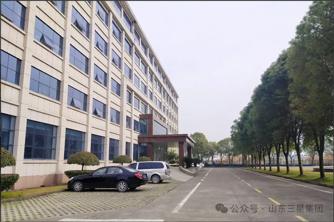 【文韻三星】長(zhǎng)駐在三星 心系長(zhǎng)壽花